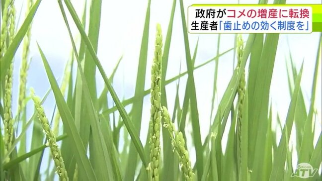 政府がコメの増産に転換 青森県内の生産者「歯止めの効くような制度を」消費者が買いやすくなる期待 一方で供給過剰による価格の大幅下落を懸念|TBS NEWS DIG