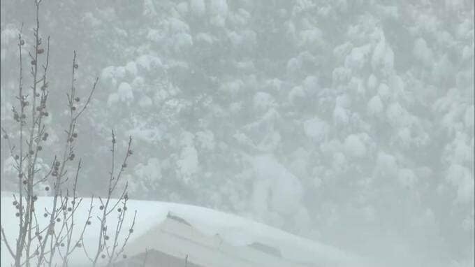 岡山県北に大雪警報　真庭市上長田で107センチ（午前10時現在の積雪）|TBS NEWS DIG
