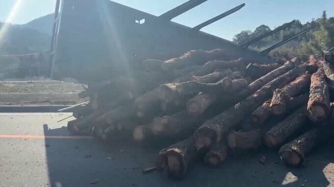 大型トレーラーが2m下の田んぼに転落する事故　積み荷の木材が散乱　あたりは一時通行止めに　広島・東広島市|TBS NEWS DIG