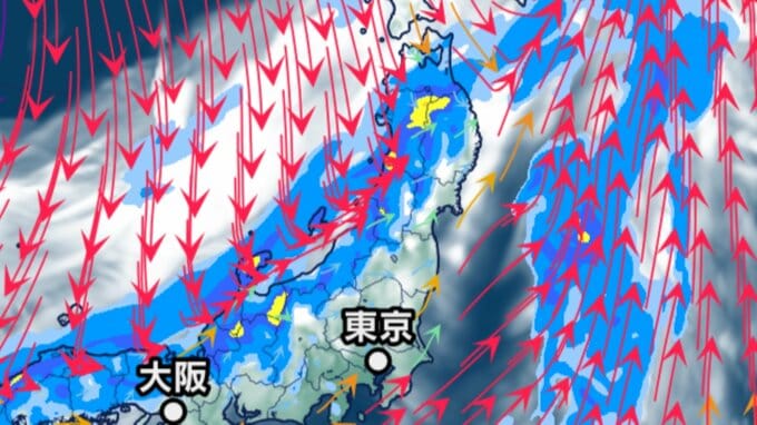 【大雨情報】19日に東北日本海側で1時間40ミリの“激しい雨”の可能性　18日～19日までの24時間予想降水量は80ミリ【最新気象情報・雨と雲のシミュレーションあり】|TBS NEWS DIG