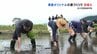 「銀座おのでら」　熊本県産オリジナルの酒造りに挑戦　阿蘇市で酒米の田植え　|　熊本のニュース｜RKK NEWS｜RKK熊本放送