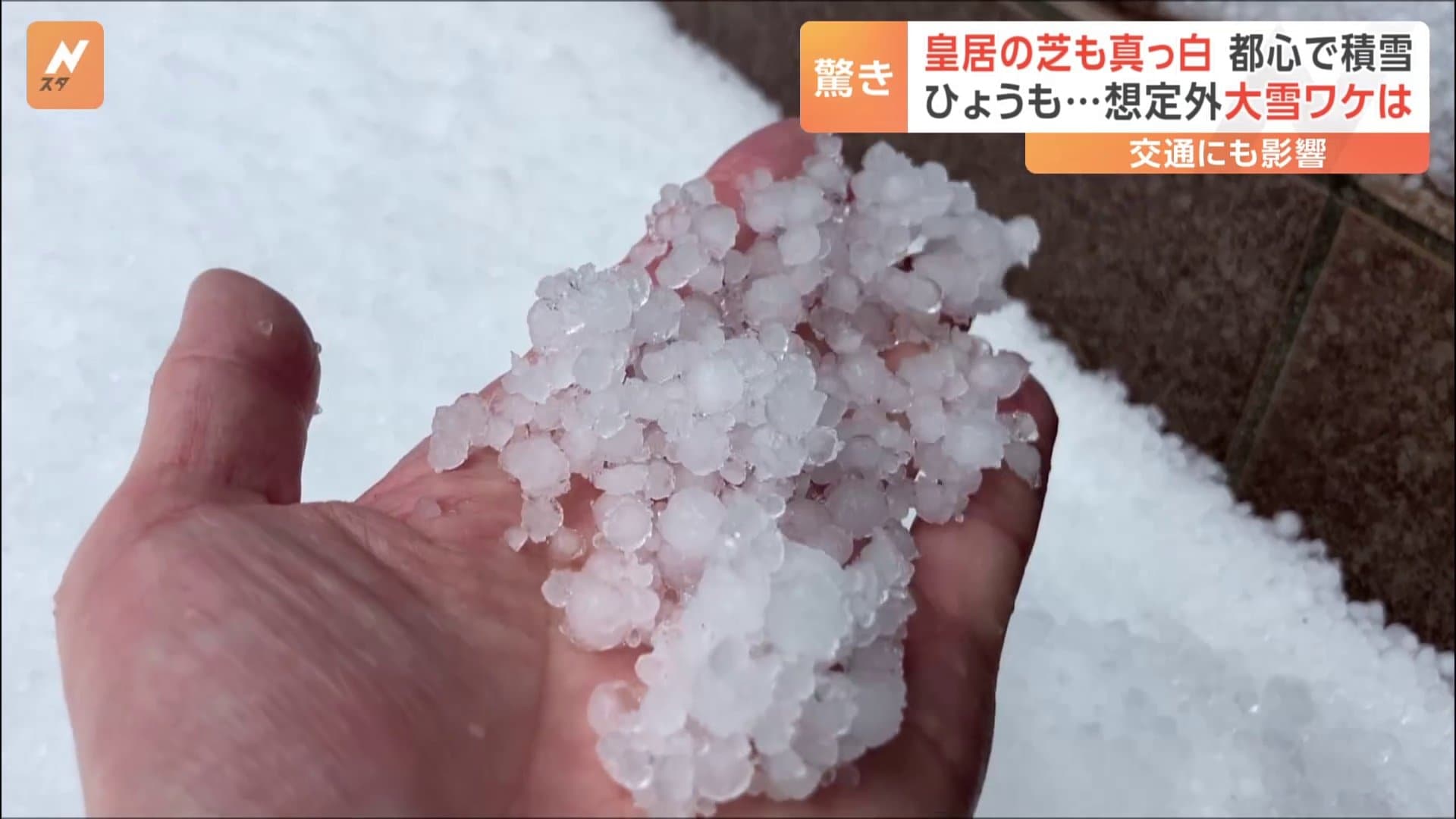 3月の都心に雪が降った！虎ノ門には直径9ミリの雹 “想定外”の雪に