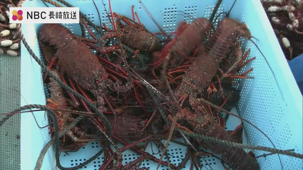 錆び取り、佐川送料込みに変更】IVANKO イヴァンコ OB-ECON 錆び取り