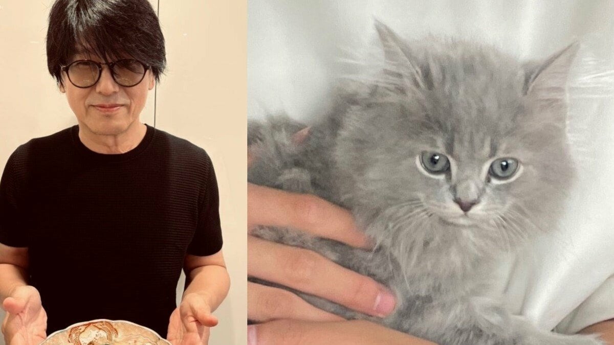 ねこ 】高橋克典さんが仔猫1頭を迎える 黒木瞳さん宅より 「なんて