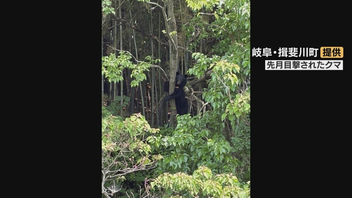 相次ぐクマの出没 岐阜県が石川県など県境を越えて対策協議 “地域を越えた連携深め実効性ある対策を”