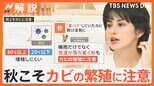 大掃除は秋がオススメ “夏バテ”から復活!?秋こそカビの繁殖に注意【Nスタ解説】|TBS NEWS DIG