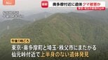 【速報】東京と埼玉にまたがる仙元峠付近で上半身のない遺体　クマに襲われた可能性　周辺には大型動物の足跡　警視庁が身元確認を進める|TBS NEWS DIG