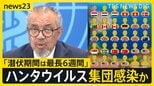 クルーズ船の乗客30人がすでに下船　複数人がハンタウイルス感染確認　寄港予定の島では抗議デモ【news23】|TBS NEWS DIG