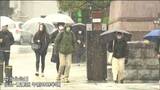 「真冬のような寒さ」南岸低気圧で雪や雨 大崎市川渡で1センチ積雪 宮城 | 宮城のニュース│tbc NEWS│tbc東北放送