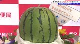 スイカの重さは何キロ? 見た目で重さを予想しポストに投かん 当たれば抽選で地域特産の滝沢スイカ 盛岡北郵便局|TBS NEWS DIG