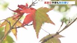 残暑続く中、もみじの色づきで秋の訪れ感じつつ「やっぱり暑い!」午後は雷雨に注意 富山|TBS NEWS DIG
