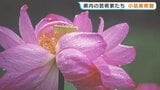 熊本の芸術家が描く"夏の彩り"74点 運命の作品に出会えるかも 鶴屋百貨店で「第60回小品美術展」開催中 | 熊本のニュース|RKK NEWS|RKK熊本放送