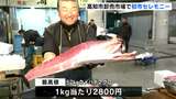 鮮魚の最高値は52キロのメバチマグロ 価格は1キロあたり2800円 高知市卸売市場で初市セレモニー | 高知のニュース・天気|KUTV NEWS | KUTVテレビ高知
