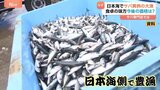 不漁続きのサバが日本海で異例の大漁！食卓の味方の今後は？価格はどうなる？|TBS NEWS DIG