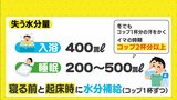 蒸し暑い夜 風呂より寝ている時の方が汗をかく? 6月でも珍しくない熱帯夜 熱中症対策は万全に|TBS NEWS DIG