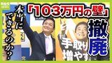 【１０３万円の壁】引き上げで実は会社員などにもメリット...国民民主党案では年収が低い人の方が減税の割合が高い！？　政府試算『税収約７兆６０００億円減少』をどう見る？|TBS NEWS DIG
