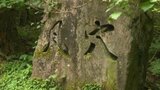 【涼を求めて】 名勝地・皿ヶ嶺登山口の「風穴」は“まるで別世界” 天然クーラーのひんやりスポットを訪れて夏を乗り切ろう!! 愛媛・東温市 | 愛媛のニュース - Nスタえひめ|あいテレビは6チャンネル