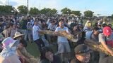 タコのような綱引きが13年ぶりに復活 うるま市の「たこ綱引き」熱戦に地域沸く | 沖縄のニュース|RBC 琉球放送