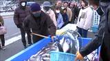 「近所におすそ分けをして食べようと」魚の「たも網すくい」が人気 水産まつりにぎわう 宮城・女川町 | 宮城のニュース│tbc NEWS│tbc東北放送
