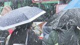 あす明け方にかけ大雪のおそれ　午後4時までに山中湖で15センチ河口湖で6センチの積雪　山梨|TBS NEWS DIG
