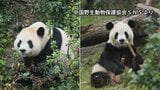 【速報】パンダ2頭が米・アトランタに到着 中国国営の新華社通信が報じる|TBS NEWS DIG