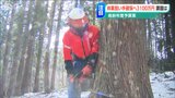 「儲かる林業を目指したい」仕事はたくさんあるので“稼げる”環境づくりを 新潟県予算案 | 新潟のニュース・天気|BSN NEWS|BSN新潟放送