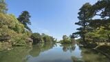「普段は立ち入れない特別な茶室」で茶会 5月7日は兼六園の開園記念の日|TBS NEWS DIG