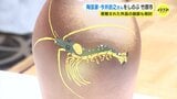 動植物を愛した陶芸家　面象嵌の第一人者　今井政之氏を偲ぶ集い　広島　|　RCC NEWS | 広島ニュース | RCC中国放送
