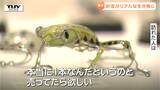 「細かくてステキ」「売っていたらほしい」針金がいろんな生き物に大変身!驚きの展示会(山形・東根市) | 山形のニュース│TUYテレビユー山形