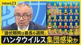 クルーズ船の乗客30人がすでに下船 複数人がハンタウイルス感染確認 寄港予定の島では抗議デモ【news23】|TBS NEWS DIG
