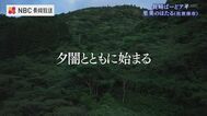「蛍の光」をドローンで撮影してみたら　|　長崎のニュース | 天気 | NBC長崎放送