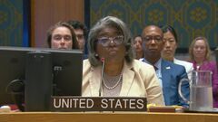 アメリカの国連大使　停戦合意に向けハマスへの圧力求める「イスラエルは受け入れた」| TBS CROSS DIG with Bloomberg