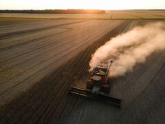 トランプ氏、中国に米国産大豆「４倍」購入促す－関税停止期限迫る| TBS CROSS DIG with Bloomberg