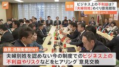 「選択的夫婦別姓制度」めぐり自民のワーキングチームが、現行の制度のビジネス上のリスクなどについて経団連からヒアリング| TBS CROSS DIG with Bloomberg