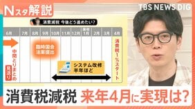 食料品の値上げ“年間2万品目ペース”に　「消費税1％」なら家計負担どのくらい減る？【Nスタ解説】|TBS NEWS DIG