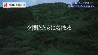 「蛍の光」をドローンで撮影してみたら　|　長崎のニュース | 天気 | NBC長崎放送