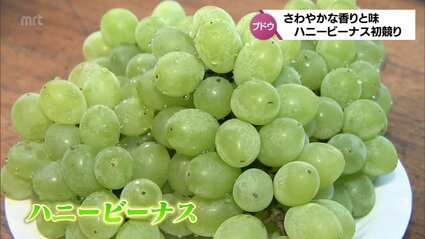 img_56e86f78695c9a9a03b6fef7bb