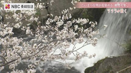 武者たちのたいまつで幻想的な色に染まる桜「観櫻火宴」長崎県橘神社