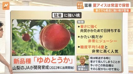 暑すぎて「四季」から「五季」へ… 異常気象で変わる消費、お出かけ先も