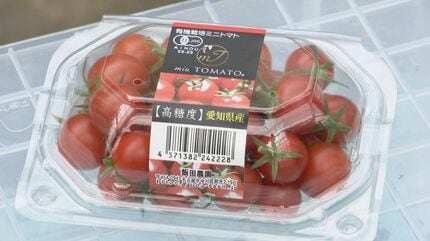 厳しい暑さでトマトが赤くならない サイズも通常の半分ほどに 電気代 厳しい暑さでトマトが赤くならない サイズも通常の半分ほどに 電気代