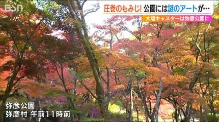 これは何？誰が作ったの??『ニコニコ落ち葉』弥彦公園の謎【新潟 紅葉