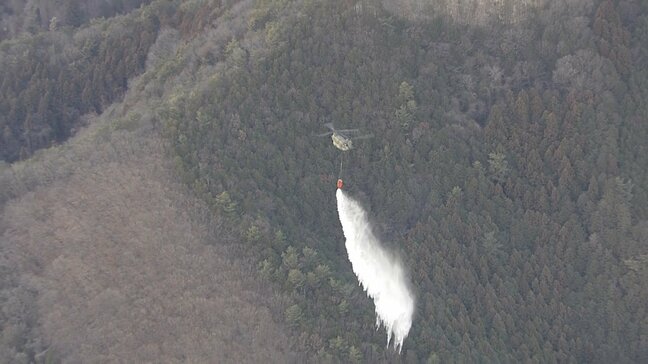 政府が情報連絡室を設置　山梨・神奈川・群馬の林野火災を受け|TBS NEWS DIG