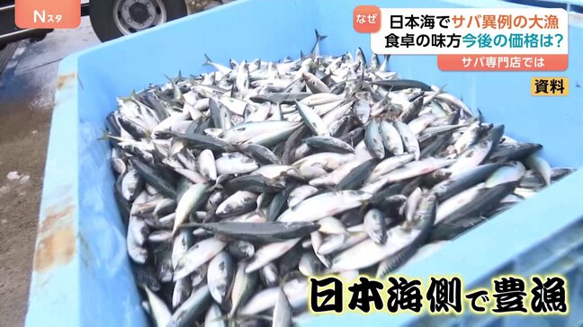 不漁続きのサバが日本海で異例の大漁!食卓の味方の今後は?価格はどうなる?|TBS NEWS DIG