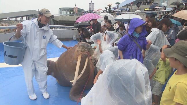かき入れ時なのに…大雨で明暗分かれた観光地　水族館は来場2割増で混雑　大分・3連休最終日|TBS NEWS DIG
