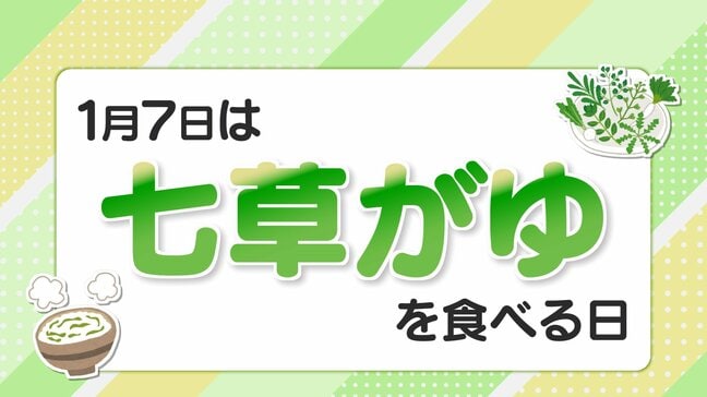 【七草がゆ】春の七草、それぞれの効果は？お正月太りが気になる人にも持ってこい|TBS NEWS DIG