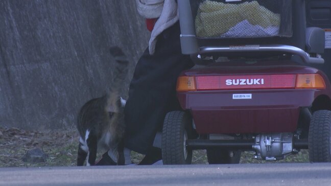 「コロナ禍でハンセン病の歴史が繰り返された」長島愛生園の山本典良園長が語る「努力を認める社会に」（第3回/全3回）|TBS NEWS DIG