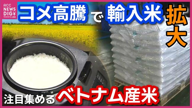 「見た目も形も品種的にも国産米と同じ」　コメ高騰の中で「輸入米」が拡大　広島の卸業者が輸入した“ベトナム産米”を取材|TBS NEWS DIG