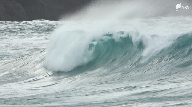 【台風7号】静岡県内に接近　伊豆では雨や風強まり、高波も　東海道新幹線は終日運休|TBS NEWS DIG