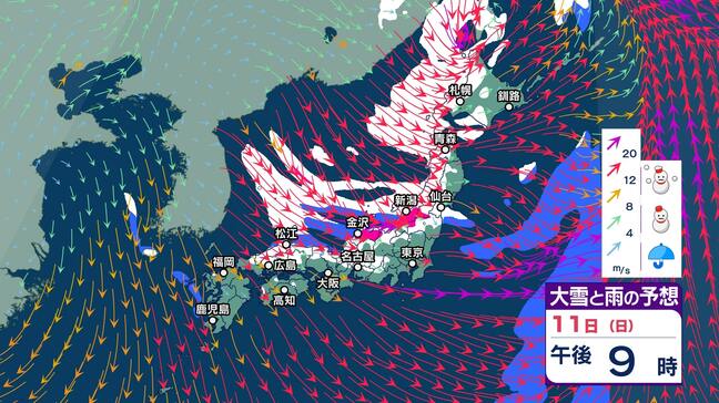【大雪情報】長野県と関東北部は強い冬型の気圧配置に　11日～12日頃にかけて大雪となる所が…12日夕方まで24時間降雪予想は多い所で関東北部50センチ甲信40センチ【大雪と雪のシミュレーション】|TBS NEWS DIG
