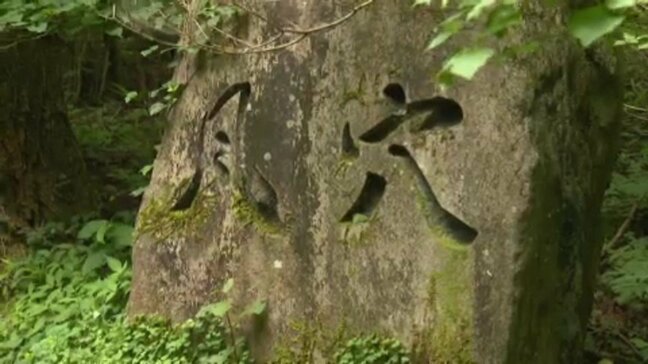 【涼を求めて】 名勝地・皿ヶ嶺登山口の「風穴」は“まるで別世界” 天然クーラーのひんやりスポットを訪れて夏を乗り切ろう!! 愛媛・東温市|TBS NEWS DIG